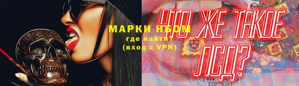 гидра Аркадак