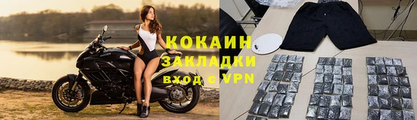 гидра Аркадак