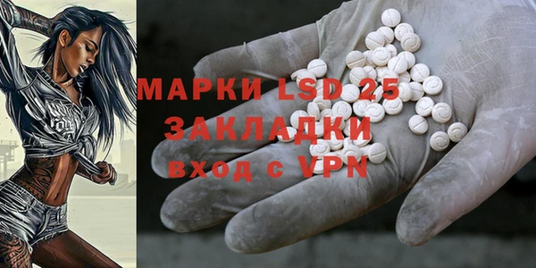гидра Аркадак