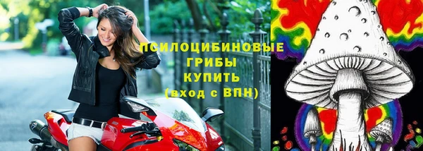 гидра Аркадак