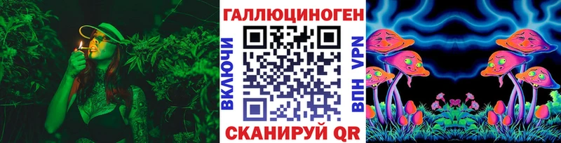 Псилоцибиновые грибы прущие грибы  Навашино 